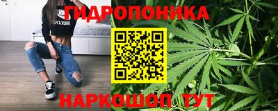 каннабис Будённовск