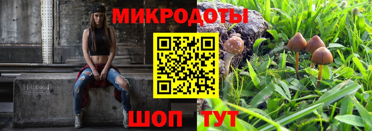Галлюциногенные грибы мицелий Отрадный